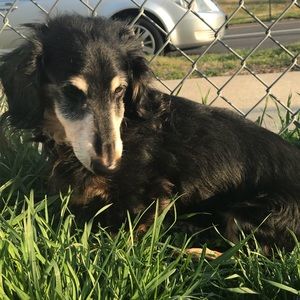 Meet your Posher, Hanna